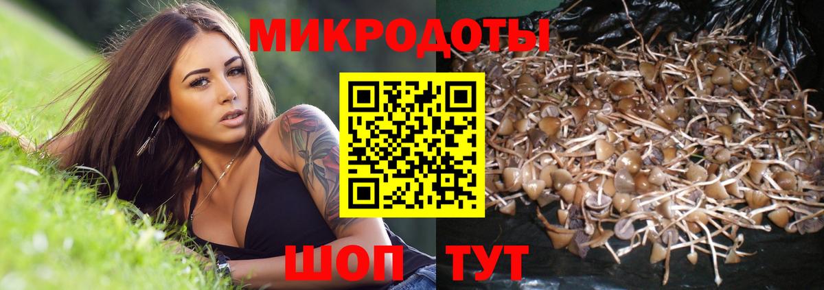 Псилоцибиновые грибы прущие грибы  где найти наркотики  Аша  Вход с VPN  Галлюциногенные грибы GOLDEN TEACHER 